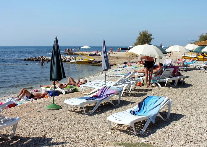 Guest house And With Parking Space - 24373